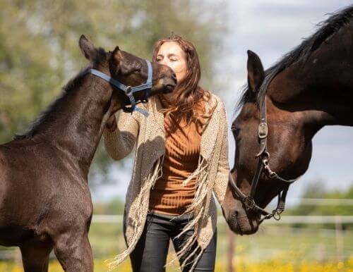 Paardencoaching Anina Mulder
